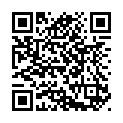 To view this 2014 Toyota RAV4 Houston TX from Texas Auto Buy Here Pay Here, please scan this QR code with your smartphone or tablet to view the mobile version of this page.
