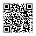 To view this 2013 Toyota RAV4 Houston TX from Texas Auto Buy Here Pay Here, please scan this QR code with your smartphone or tablet to view the mobile version of this page.
