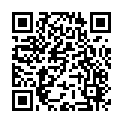 To view this 2013 BMW X3 Houston TX from Texas Auto Buy Here Pay Here, please scan this QR code with your smartphone or tablet to view the mobile version of this page.
