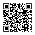 To view this 2012 Honda Civic Houston TX from Texas Auto Buy Here Pay Here, please scan this QR code with your smartphone or tablet to view the mobile version of this page.