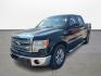 2013 Ford F-150 Platinum SuperCrew 6.5-ft. Bed 2WD (1FTFW1CT4DK) with an 3.5L V6 TURBO engine, 6-Speed Automatic transmission, located at 16710 Clay Rd., Houston, TX, 77084, (281) 859-7900, 0.000000, 0.000000 - Photo#0
