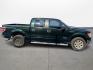 2013 Ford F-150 Platinum SuperCrew 6.5-ft. Bed 2WD (1FTFW1CT4DK) with an 3.5L V6 TURBO engine, 6-Speed Automatic transmission, located at 16710 Clay Rd., Houston, TX, 77084, (281) 859-7900, 0.000000, 0.000000 - Photo#3