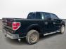 2013 Ford F-150 Platinum SuperCrew 6.5-ft. Bed 2WD (1FTFW1CT4DK) with an 3.5L V6 TURBO engine, 6-Speed Automatic transmission, located at 16710 Clay Rd., Houston, TX, 77084, (281) 859-7900, 0.000000, 0.000000 - Photo#4