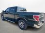2013 Ford F-150 Platinum SuperCrew 6.5-ft. Bed 2WD (1FTFW1CT4DK) with an 3.5L V6 TURBO engine, 6-Speed Automatic transmission, located at 16710 Clay Rd., Houston, TX, 77084, (281) 859-7900, 0.000000, 0.000000 - Photo#6