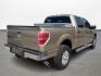 2011 Ford F-150 FX2 SuperCrew 5.5-ft. Bed 2WD (1FTFW1CF6BF) with an 5.0L V8 engine, 4-Speed Automatic transmission, located at 16710 Clay Rd., Houston, TX, 77084, (281) 859-7900, 0.000000, 0.000000 - Photo#4