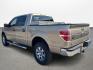 2011 Ford F-150 FX2 SuperCrew 5.5-ft. Bed 2WD (1FTFW1CF6BF) with an 5.0L V8 engine, 4-Speed Automatic transmission, located at 16710 Clay Rd., Houston, TX, 77084, (281) 859-7900, 0.000000, 0.000000 - Photo#6