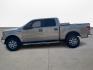 2011 Ford F-150 FX2 SuperCrew 5.5-ft. Bed 2WD (1FTFW1CF6BF) with an 5.0L V8 engine, 4-Speed Automatic transmission, located at 16710 Clay Rd., Houston, TX, 77084, (281) 859-7900, 0.000000, 0.000000 - Photo#7