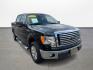 2012 Ford F-150 FX2 SuperCrew 5.5-ft. Bed 2WD (1FTFW1CF4CK) with an 5.0L V8 engine, 6-Speed Automatic transmission, located at 16710 Clay Rd., Houston, TX, 77084, (281) 859-7900, 0.000000, 0.000000 - Photo#2