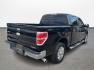 2012 Ford F-150 FX2 SuperCrew 5.5-ft. Bed 2WD (1FTFW1CF4CK) with an 5.0L V8 engine, 6-Speed Automatic transmission, located at 16710 Clay Rd., Houston, TX, 77084, (281) 859-7900, 0.000000, 0.000000 - Photo#4