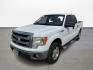 2013 Ford F-150 XLT SuperCrew 6.5-ft. Bed 2WD (1FTEW1CM5DF) with an 3.7L V6 DOHC 24V engine, 6-Speed Automatic transmission, located at 16710 Clay Rd., Houston, TX, 77084, (281) 859-7900, 0.000000, 0.000000 - Photo#0