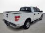 2013 Ford F-150 XLT SuperCrew 6.5-ft. Bed 2WD (1FTEW1CM5DF) with an 3.7L V6 DOHC 24V engine, 6-Speed Automatic transmission, located at 16710 Clay Rd., Houston, TX, 77084, (281) 859-7900, 0.000000, 0.000000 - Photo#4