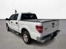 2013 Ford F-150 XLT SuperCrew 6.5-ft. Bed 2WD (1FTEW1CM5DF) with an 3.7L V6 DOHC 24V engine, 6-Speed Automatic transmission, located at 16710 Clay Rd., Houston, TX, 77084, (281) 859-7900, 0.000000, 0.000000 - Photo#6