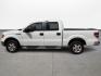 2013 Ford F-150 XLT SuperCrew 6.5-ft. Bed 2WD (1FTEW1CM5DF) with an 3.7L V6 DOHC 24V engine, 6-Speed Automatic transmission, located at 16710 Clay Rd., Houston, TX, 77084, (281) 859-7900, 0.000000, 0.000000 - Photo#7