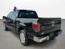 2011 Ford F-150 Platinum SuperCrew 6.5-ft. Bed 2WD (1FTFW1CT7BF) with an 3.5L V6 TURBO engine, 4-Speed Automatic transmission, located at 16710 Clay Rd., Houston, TX, 77084, (281) 859-7900, 0.000000, 0.000000 - Photo#6