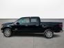 2011 Ford F-150 Platinum SuperCrew 6.5-ft. Bed 2WD (1FTFW1CT7BF) with an 3.5L V6 TURBO engine, 4-Speed Automatic transmission, located at 16710 Clay Rd., Houston, TX, 77084, (281) 859-7900, 0.000000, 0.000000 - Photo#7
